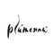 Plámenna Fashion Boutique